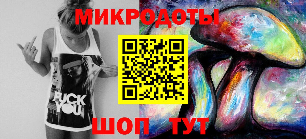 Галлюциногенные грибы Psilocybine cubensis Заволжье