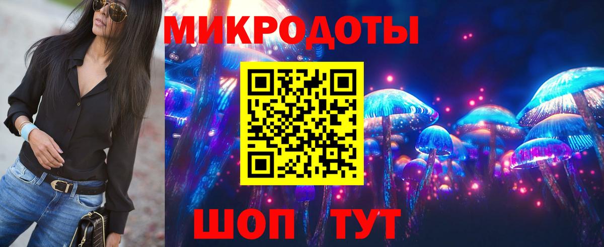 Псилоцибиновые грибы прущие грибы  Вход с VPN  Заволжье 